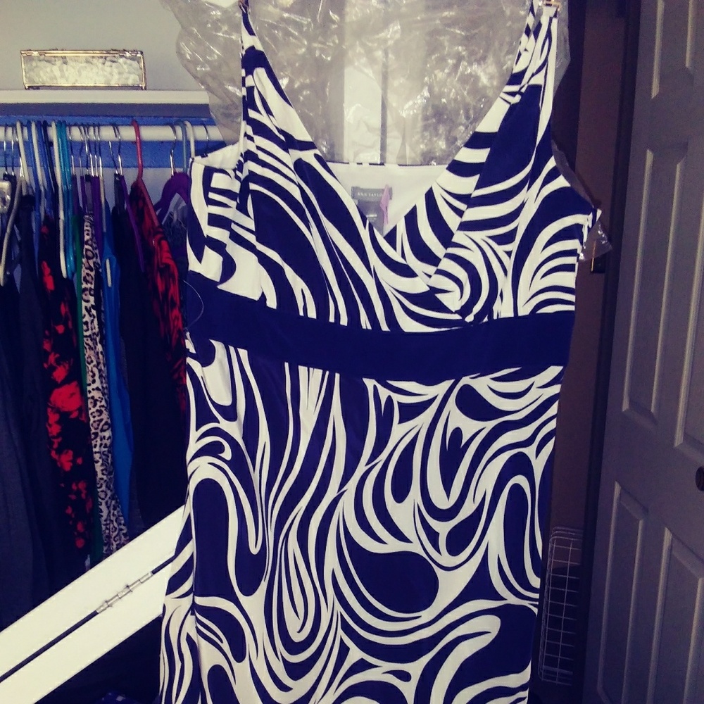 Ann Taylor silk dress